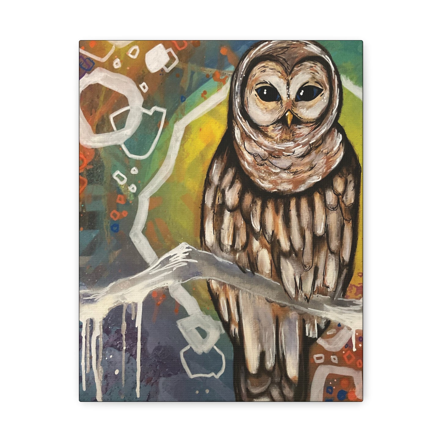 Rainbow Barred Owl Hanging Wall Art