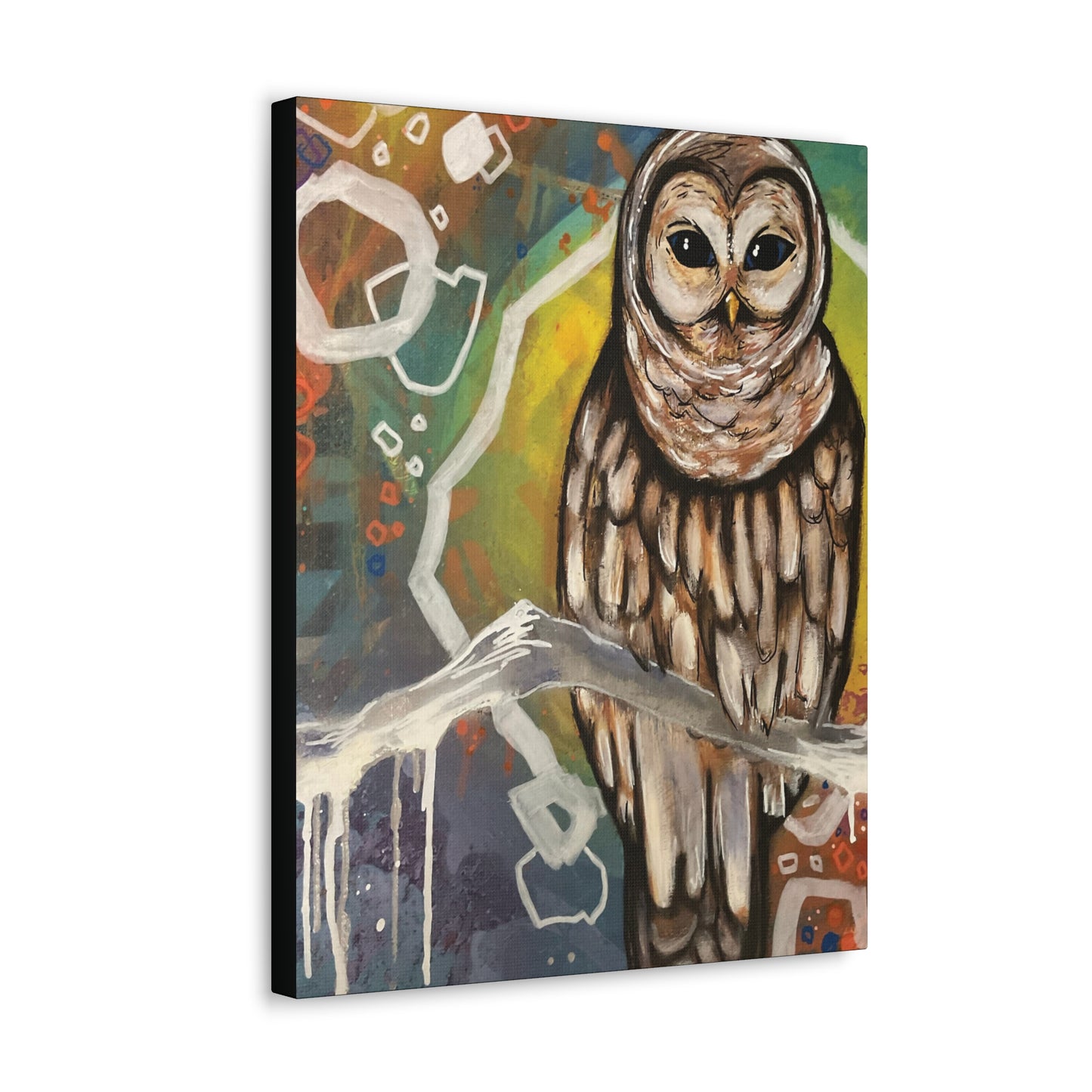 Rainbow Barred Owl Hanging Wall Art