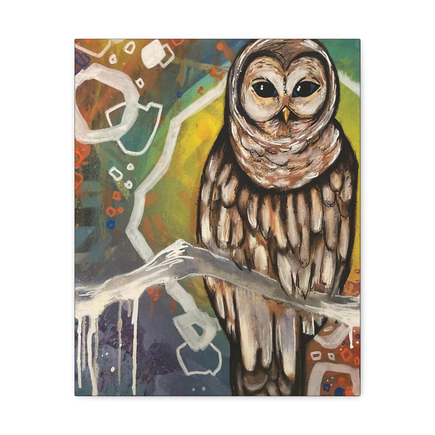 Rainbow Barred Owl Hanging Wall Art