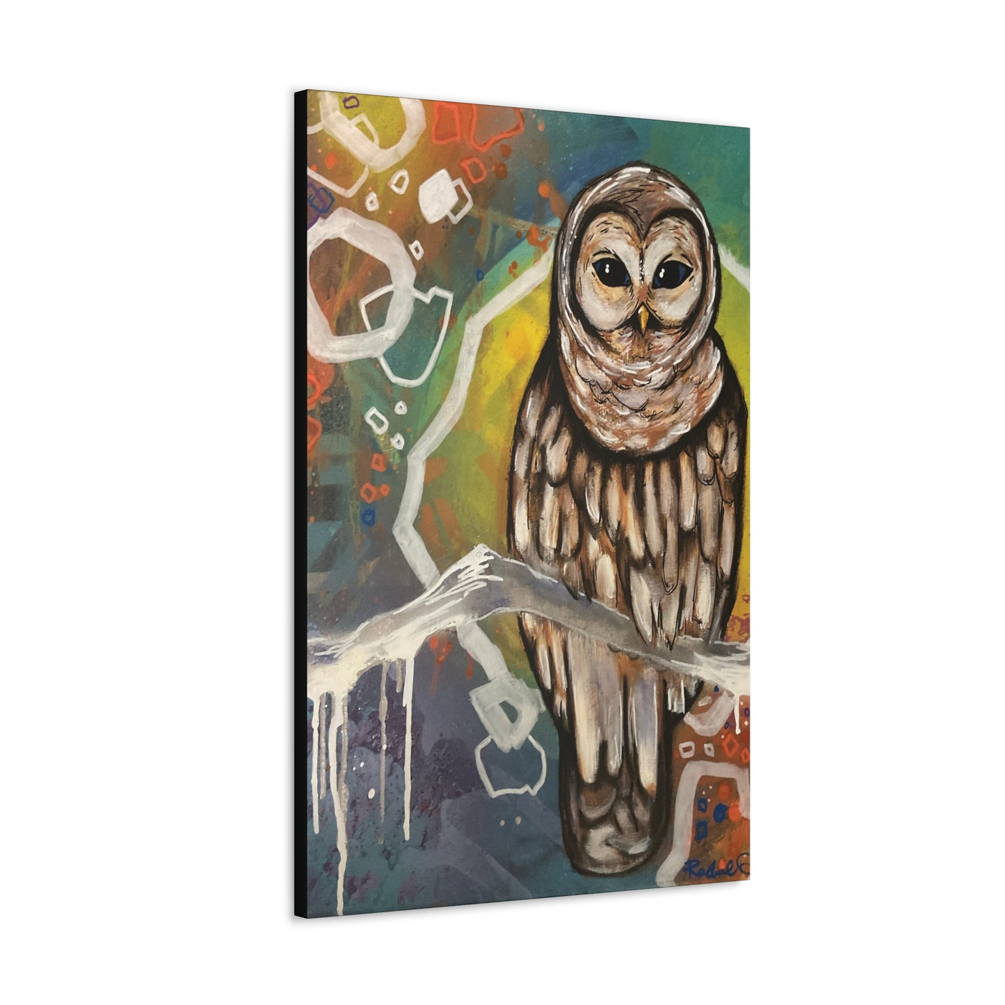 Rainbow Barred Owl Hanging Wall Art