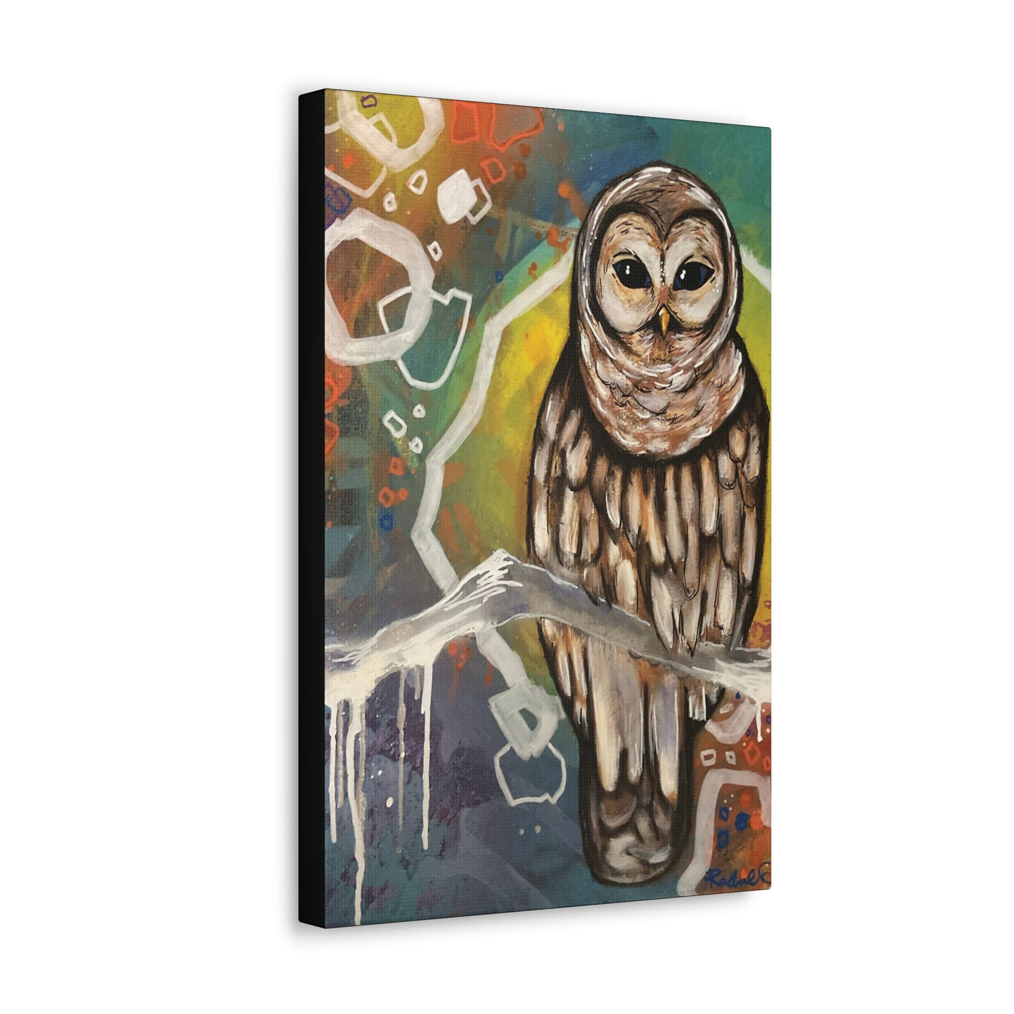 Rainbow Barred Owl Hanging Wall Art