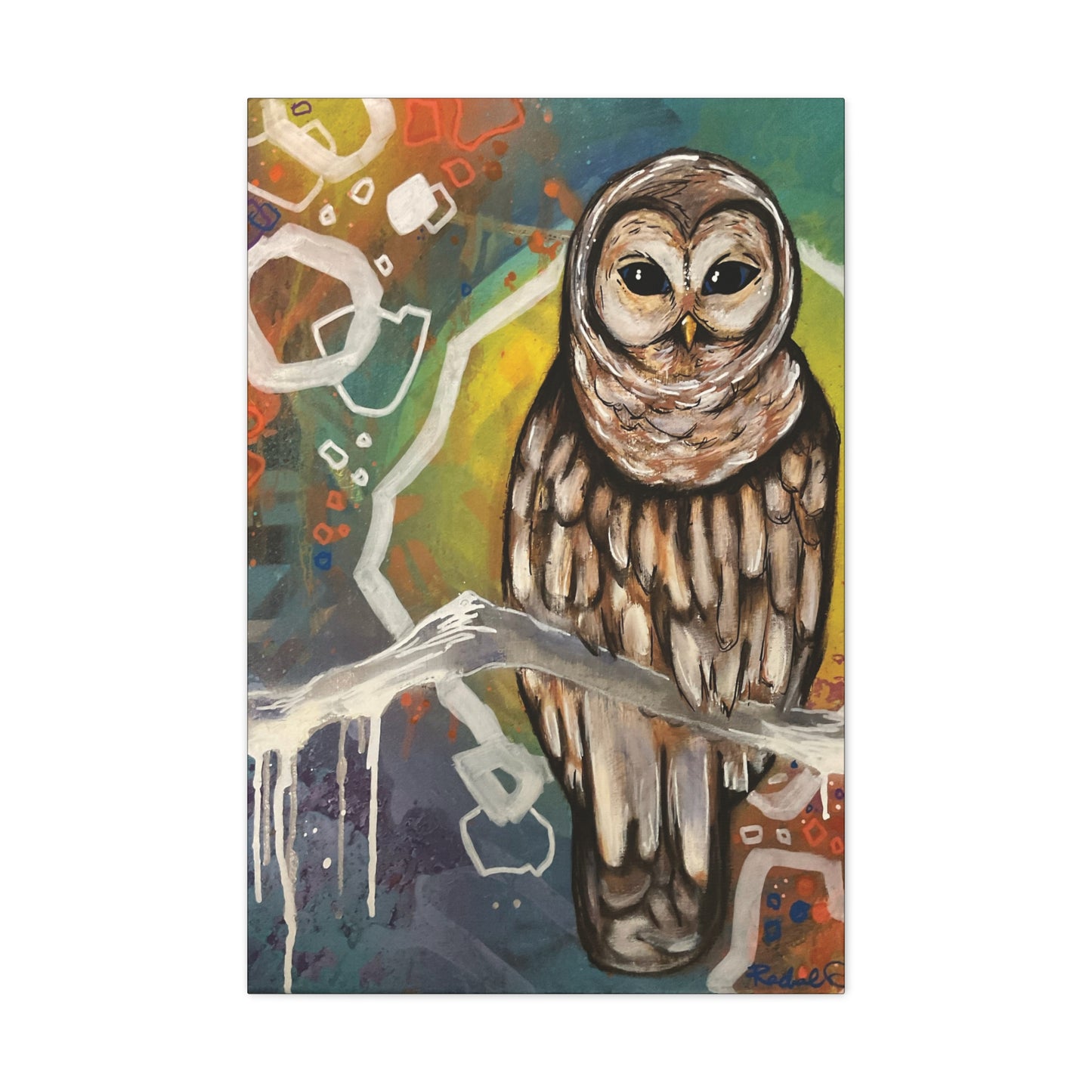 Rainbow Barred Owl Hanging Wall Art