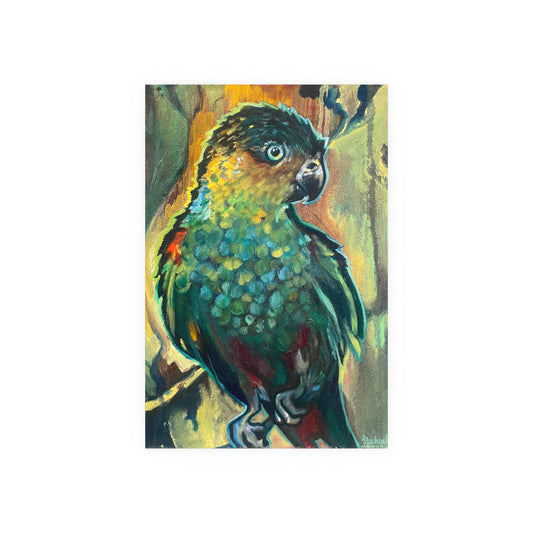 Parrot Poster Print